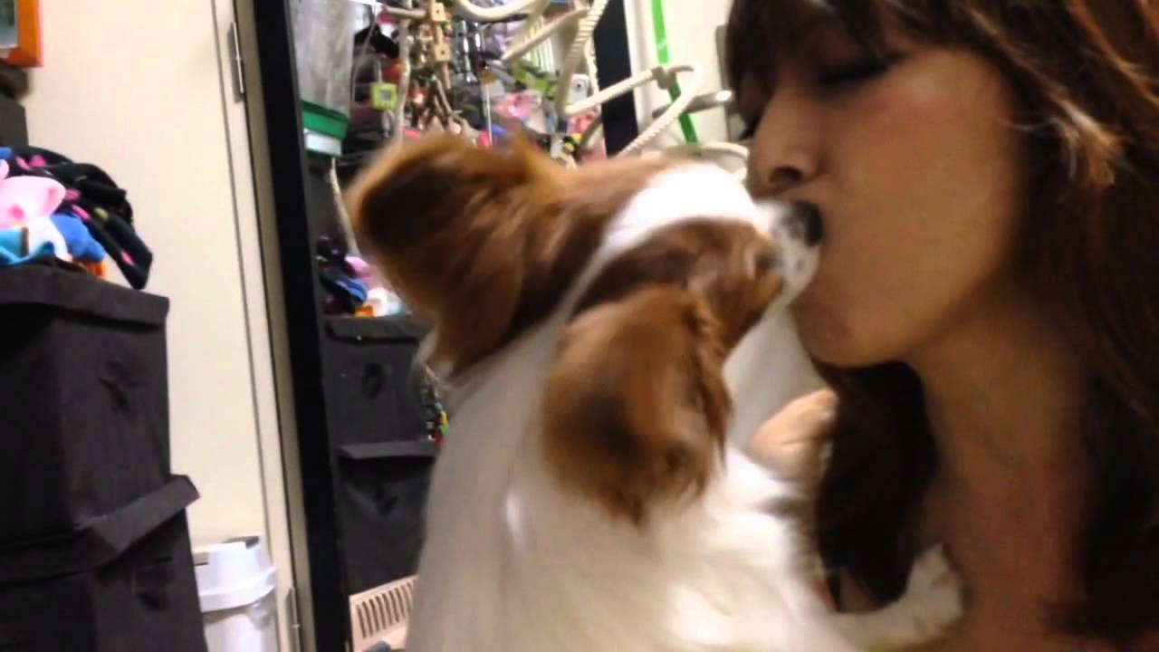 チョコがディープキス激しすぎる