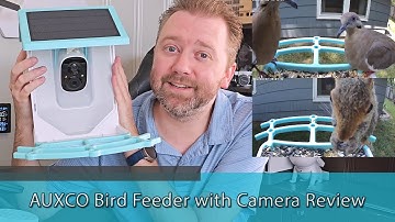Ultimate Bird Feeder Camera - AUXCO Bird Feeder with Camera Review