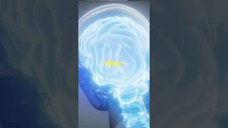 Kick Sugar Transform Your Health Today