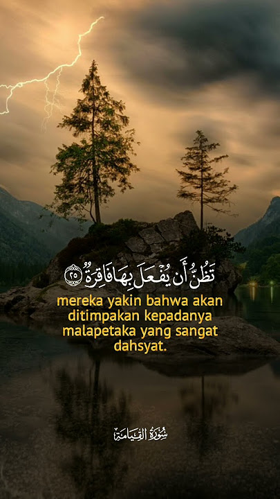AlQur'anmerdu#alquran#allah #allahuakbar#kiamat#murotal #alquranmerdu #islam #islamic #islamicstatus