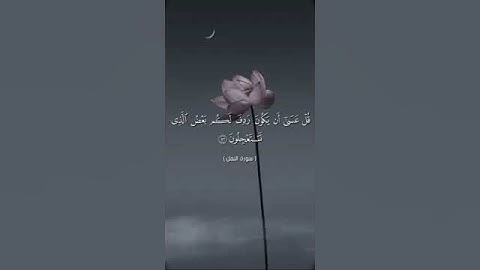 {ولاتحزن عليهم ولا تكن في ضيق مما يمكرون}، { تلاوة من سورة النمل}قارئ: اسلام صبحي