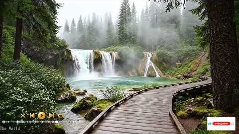 Chamber Music for Lovers of Classical Art bringing Intimacy, Elegance, and Emotion