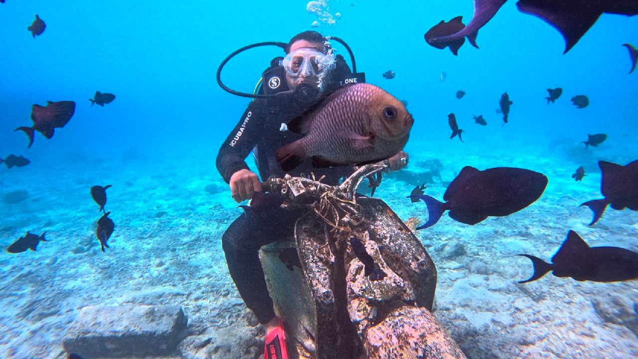 4.Beutyfull Relaxing Music 🐠Calming Music With Coral Reef Underwater Sounds For Sleep & Relaxation