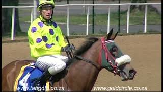 20171001 Greyville Race 3 won by ALLY WHOOPEE