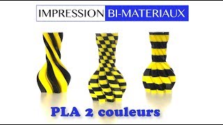 Vase 2 couleurs