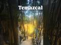 🔥Temazcal | Tulum
