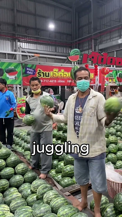 The Melon Express Squad (@user1685952673437)