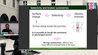 Inducing electroosmotic flow in uncharged nanopores via confinement a/o induced chargeMauro Chinappi