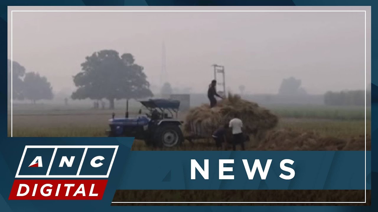 Global rice prices to remain high as India seen to keep rice export ban into 2024 | ANC