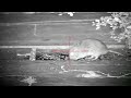 RAT PEST CONTROL - ALL HEAD SHOTS COMPILATION.