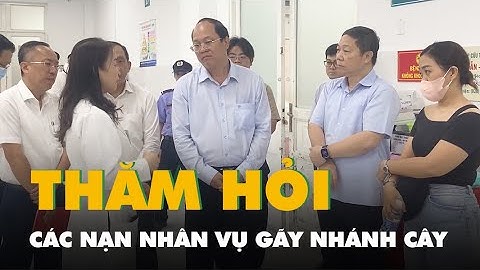 Vụ gãy nhánh cây ở công viên Tao Đàn: Lãnh đạo TP.HCM thăm hỏi các nạn nhân