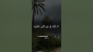 قرآن كريم | سورة الجمعة - آية 8 | بدر التركي #حالات_واتس