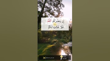 سورة آل عمران (الآية 159 ~ الآية 160) | Surah Eli imran