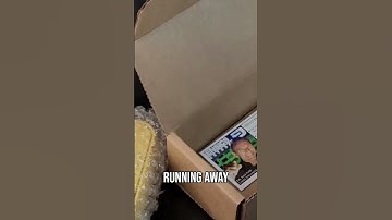 Forensics Detectors: Gas Detection Calibration: The ULTIMATE Guide!