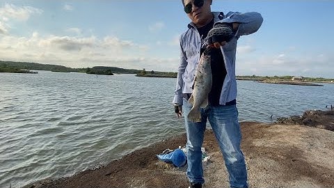 Về rừng xác cần giờ lua cá chễm , được đi xuồng mấy... quá phê..!!..