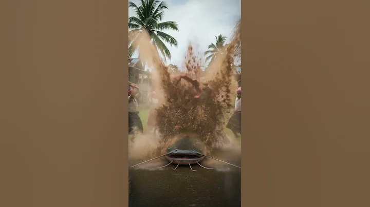 What could be lurking inside the catfish’s secret cave #catfish #wildlife #nature