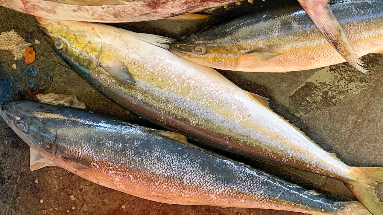 INDONESIA STREET FOOD BIG SALMON FISH CUTTING LIVE IN FISH MARKET