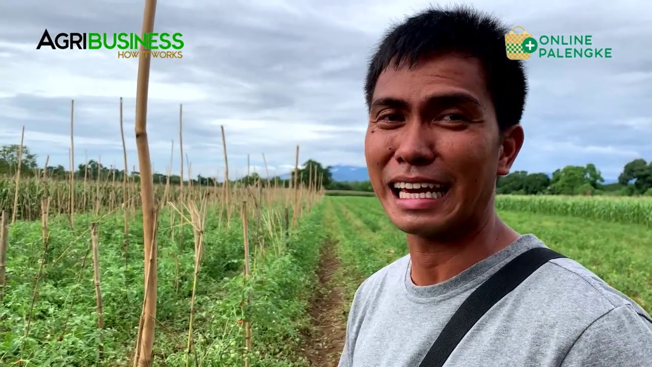 ⁣AMPALAYA HARVEST: Kayang Kumita ng 2 Million in 1 Hectare