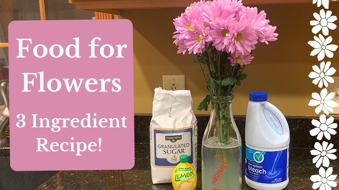 Why It's Important To Use Flower Food For Your Flowers - Article on