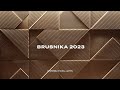 BRUSNIKA 2023 SHOWREEL 2023