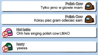 Among Us, But I Use Polish Cow Lyrics