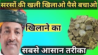 Mustard oil Cake vs Cotton Seed Cake|सरसों की खल बनाम बिनौला खल|सँतुलित पशु -आहार