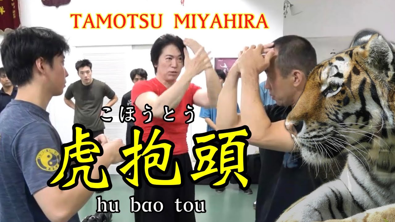 【宮平保先生の武術を分析してみた】 虎抱頭（こほうとう・hu bao tou）のブロックからのクリンチ、首相撲