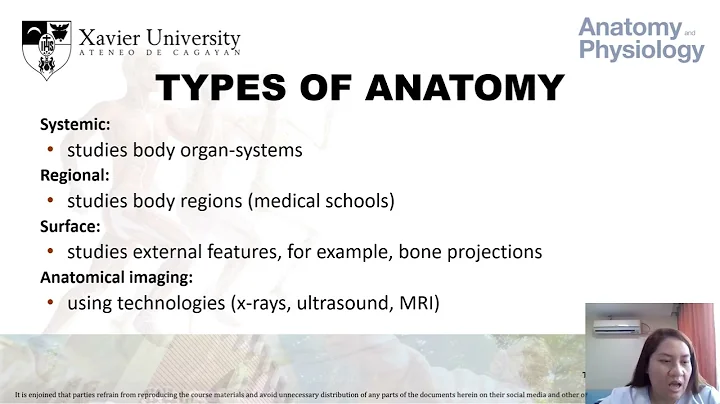 Anatomy and Physiology