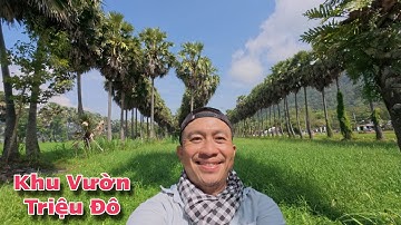 Check-in Vườn Thốt Nốt Cổ Thụ Vùng Biên Giới An Giang – Điểm Sống Ảo Cực Đẹp | Trần Thiện Hóa