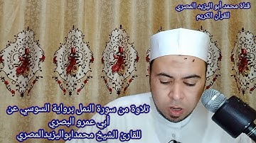 تلاوة من سورة النمل برواية السوسي عن أبي عمرو البصري | للقارئ الشيخ محمد أبو اليزيد المصري