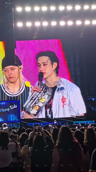 We created the Stray Kids dominATE LA Day 1 Fan Banner! I was sobbing as the camera crew filmed me.