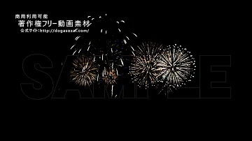 花火動画素材 著作権フリー映像素材 商用利用可能 花火動画素材 著作権フリー映像素材 商用利用可能