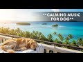 12 hours of Dog Calming Music for Separation Anxiety 😟 Soothe Your Pup with Relaxing Sounds 🎶
