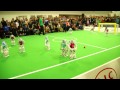 RoboCup German Open 2014 Final: B-Human vs. Nao-Team HTWK