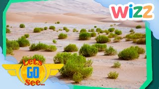 @LetsGoSee - Keeps the Desert at Bay? | Exploration | @Wizz