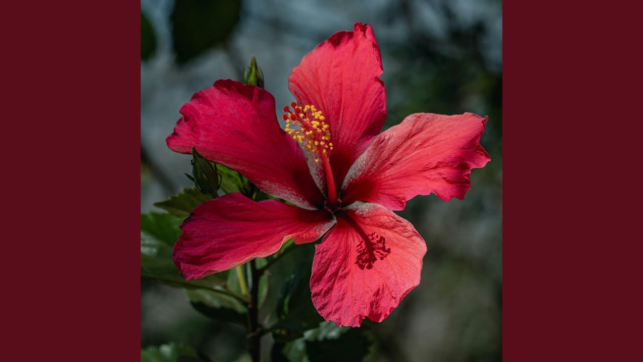 Obejrzyj physical w YouTube Obejrzyj physical w YouTube