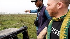 Indian SAFARI with One Horned Rhino + Assamese THALI Dinner | Kaziranga National Park, Assam, India