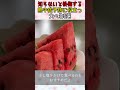 【知らないと後悔する】熱中症予防に役立つ食べ物5選 #熱中症対策 #夏バテ予防 #暑さ対策
