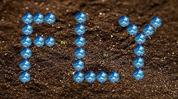 Dreams of Tiny Beings | Dream of the Soil Clods | PoetryCanvas By Beaukey