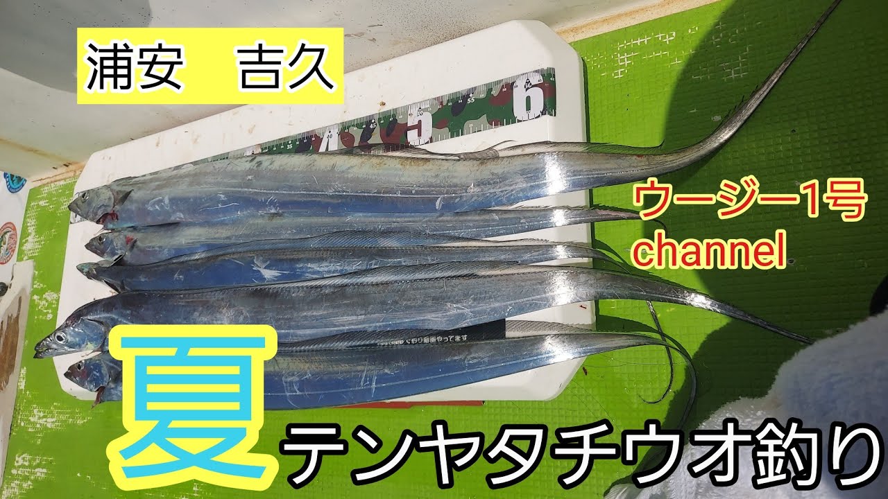 浦安吉久さんでテンヤタチウオ釣り(2025年8月)