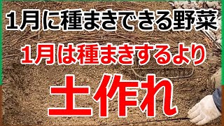 【1月に種まきできる野菜】1月は種まきするより土作れ！