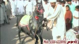 Horse dance Umarchak 1/3 [PAKISTAN]