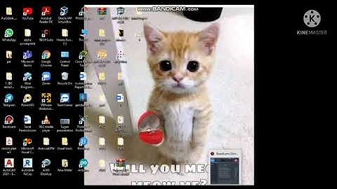 Lab 5 (embedded systems)