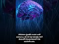 AI in the future can give birth? #motivation #viralvideo #trending #ai