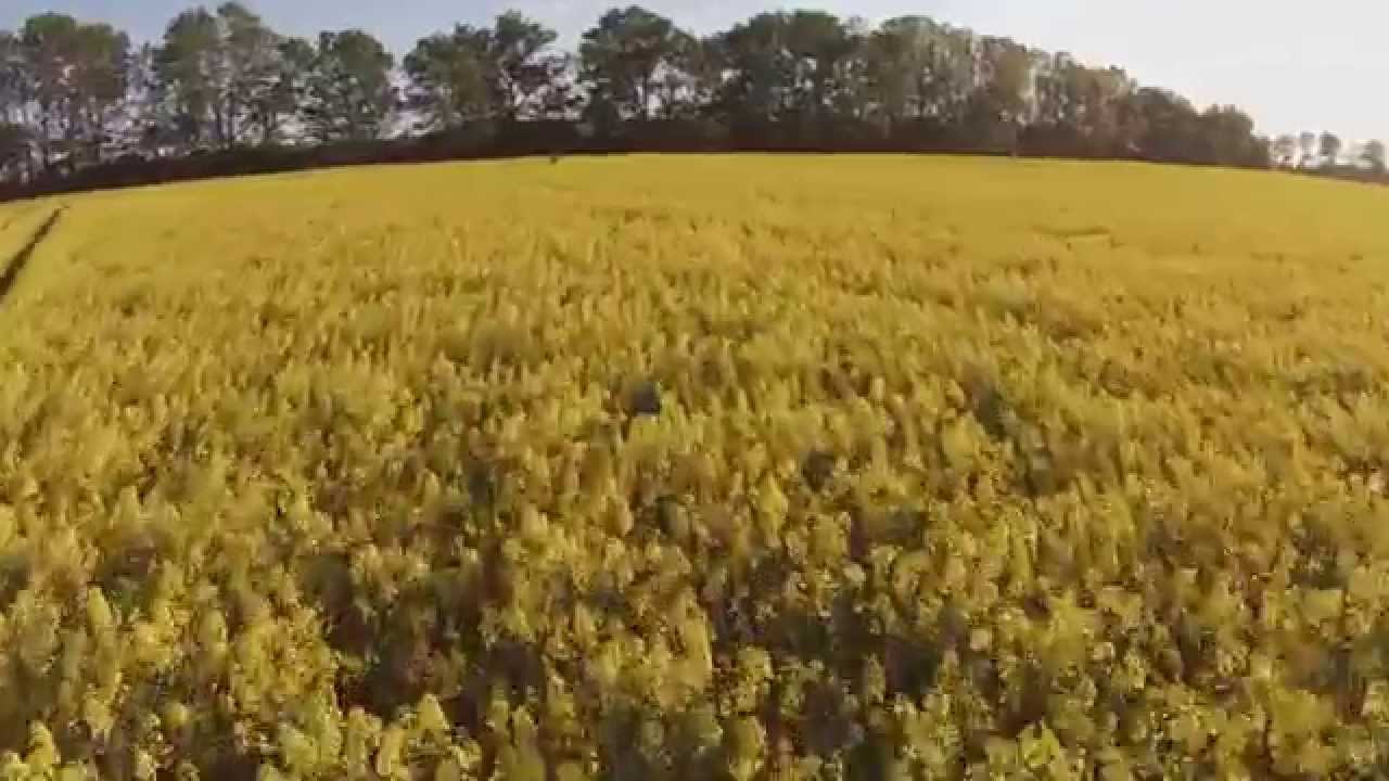 Drone & Sons - YouTube