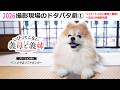 2026撮影現場のドタバタ劇①【いびってこない義母と義姉】