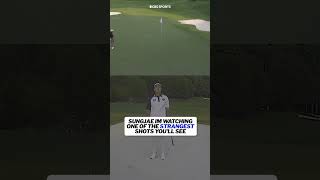 not sure he could believe what he was seeing #shorts