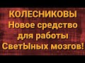 Семья Колесниковых/Горошек для СветЫных мозгов/Новости из Дворца.