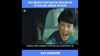 You Should Not Watch This Movie If You Are Afraid Of Ratsmovie Review Rat Disaster