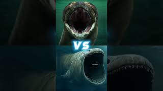 The Bloop Vs Anoboa, Angler Fish, Worm Killer Fish, Megalodon, The Shark Bloop